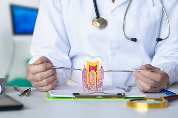Best Orthodontic Emergency Dentist in Hilliard, OH